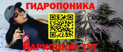дмт Краснодар