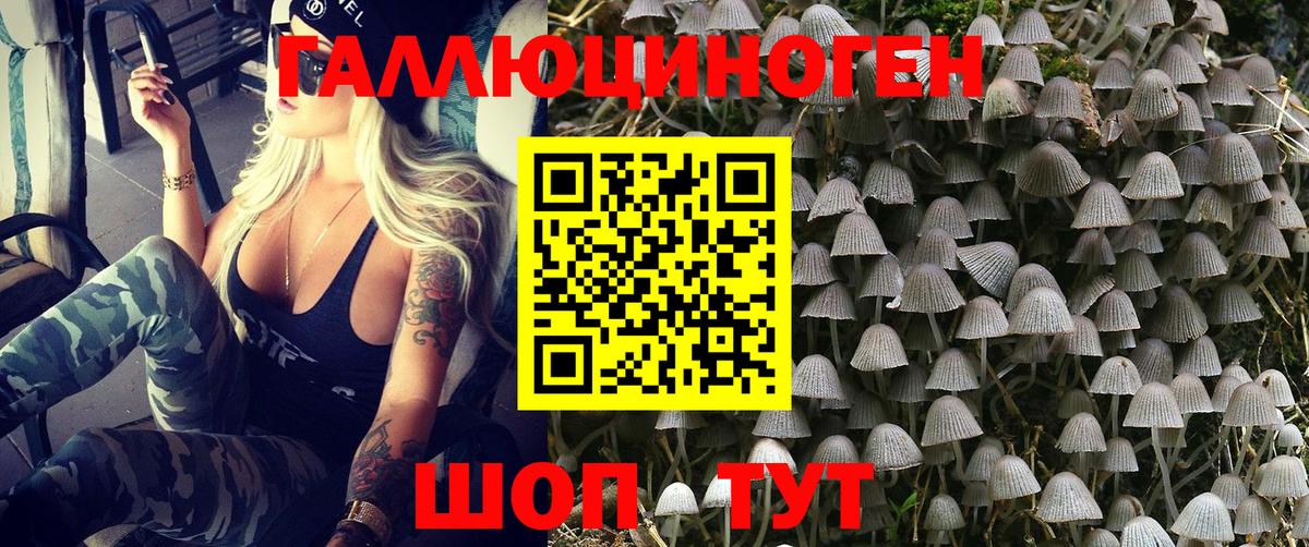 Галлюциногенные грибы мухоморы Ишимбай