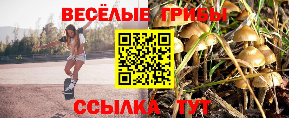 Ишимбай  Псилоцибиновые грибы Magic Shrooms  Вход с VPN 